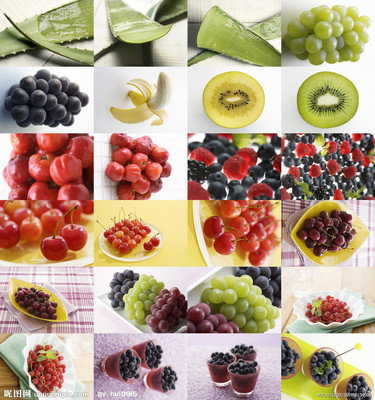 果品生物世界设计图库与蔬菜零售的创新融合