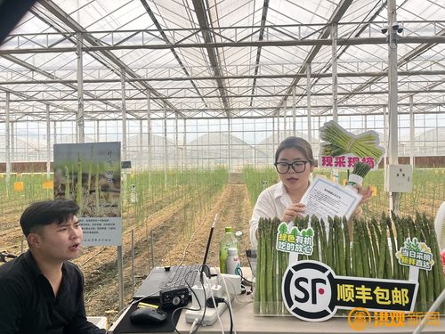 从“养在深闺”到“触网畅销”，解码南昌农产品网络零售领跑密码