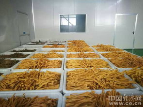 智慧零售赋能精准扶贫 苏宁拼购宣恩黄豆合作基地助力农产品上行