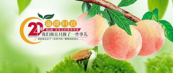 花果山果业 从优质果园到新鲜蔬菜，开启一站式健康零售新体验